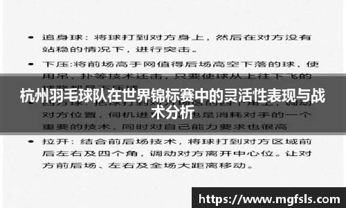 杭州羽毛球队在世界锦标赛中的灵活性表现与战术分析