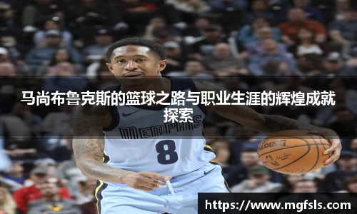 bsports官网登录入口